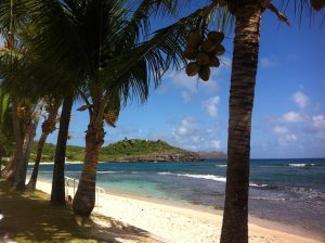 Le marché de l'immobilier à Saint-Barthélemy, avec des propriétés exclusives dans un cadre paradisiaque